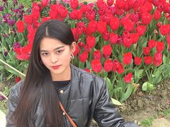 -秀丽东方