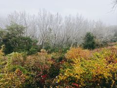-妙峰山风景名胜区