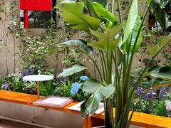 -Osteria Garden 生蚝花园餐厅(原进贤路店)