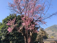 -蝴蝶泉公园