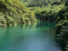 -羚羊峡古栈道森林公园