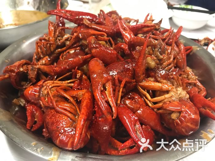 太明龙虾图片 - 第2张