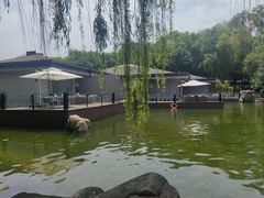 -唐城墙遗址公园