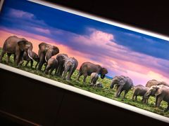 -罗红摄影艺术馆