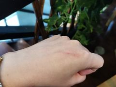 -李小姐の猫咖啡馆(五角场店)