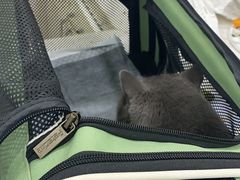 -佳雯宠物医院·皮肤科·内外科(春晓路分院)