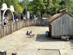 -水上乐园·欢乐世界