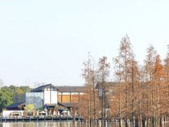 -白鹭湾湿地公园