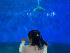 -泉城欧乐堡海洋极地世界