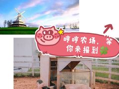 -哼哼农场