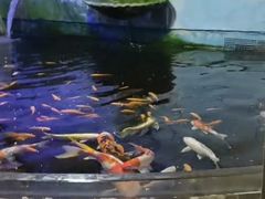 -梦幻海洋王国(吾悦广场张家港店)