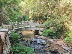 -江西阳明山国家森林公园