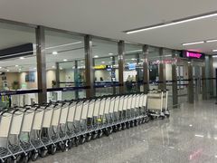 -青岛胶东国际机场