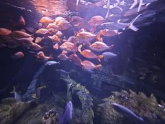 -长隆横琴湾酒店(珠海旗舰店)