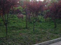 -南京航空航天大学(明故宫校区)