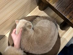 -Double cafe