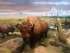 -陕西自然博物馆