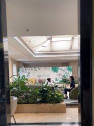 -四川米兰柏羽医学美容医院