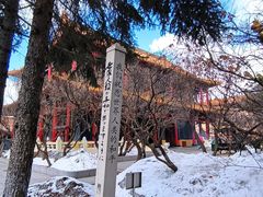 -哈尔滨极乐寺