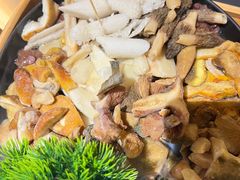 -一朵菌·野生菌探索家火锅(南亚店)