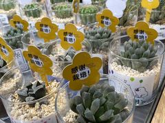 -鹿岛生活(熙地港店)