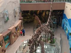 -陕西自然博物馆