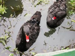 -长兴太湖图影湿地文化园