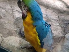 -福州罗源湾海洋世界旅游区