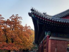 -香山公园