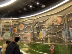 -佛山科学馆