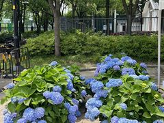 -石湖景区
