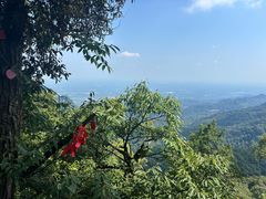 -青城山