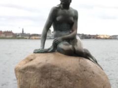 -美人鱼