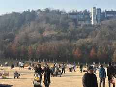 -羊山湖公园