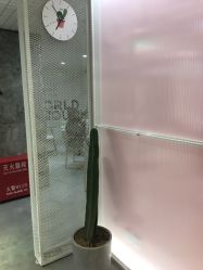 -AYO SALON