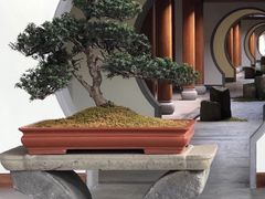 -腾冲和顺柏联酒店