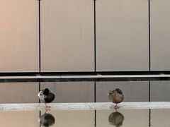 -国家大剧院