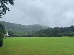 -野蔓果·山野菜(西湖景区·龙井茶田店)