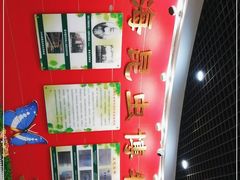 -上海昆虫博物馆