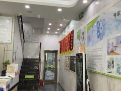 -瑞鹏宠物医院华南总院·夜诊·心脏科·骨科