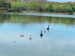 -江南大学(蠡湖校区)