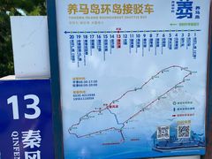 -养马岛旅游度假区