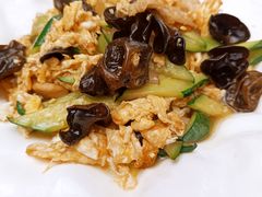 -大连金石滩绿发温泉假日酒店