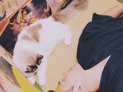 -Pets First伊珊娜洗护·精致美容·家庭式寄养(新会路店)
