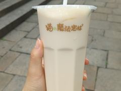 -猫的魔法密林(衣裳街店)