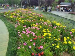 -苏州上方山国家森林公园