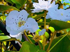 -白塘生态植物园