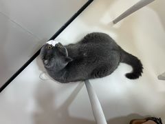 -御宝贝24h宠物医院·转诊中心·CT核磁血透中心(厦门总院)