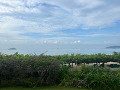-渔家火锅·海鲜自助餐·演艺(亚龙湾天域酒店)