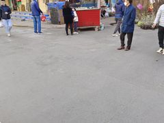 -哈尔滨道外花鸟鱼市场